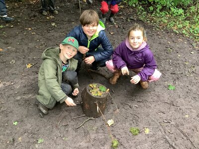 Image of Forest School - The Lost Thing