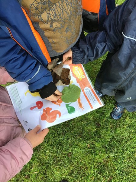 Image of Year 1 Forest School - Colour and Twig hunt