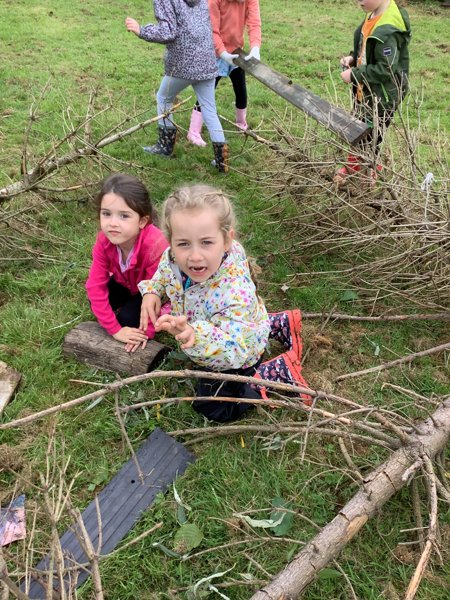 Image of Year 1 - Create dragon traps!